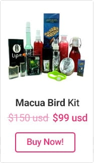 macua-bird-kit